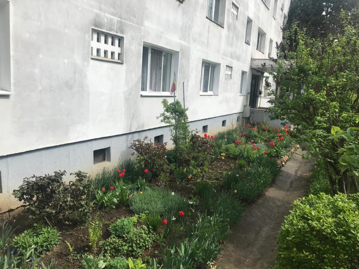 Apartament Colina Cluj-Napoca Exterior foto